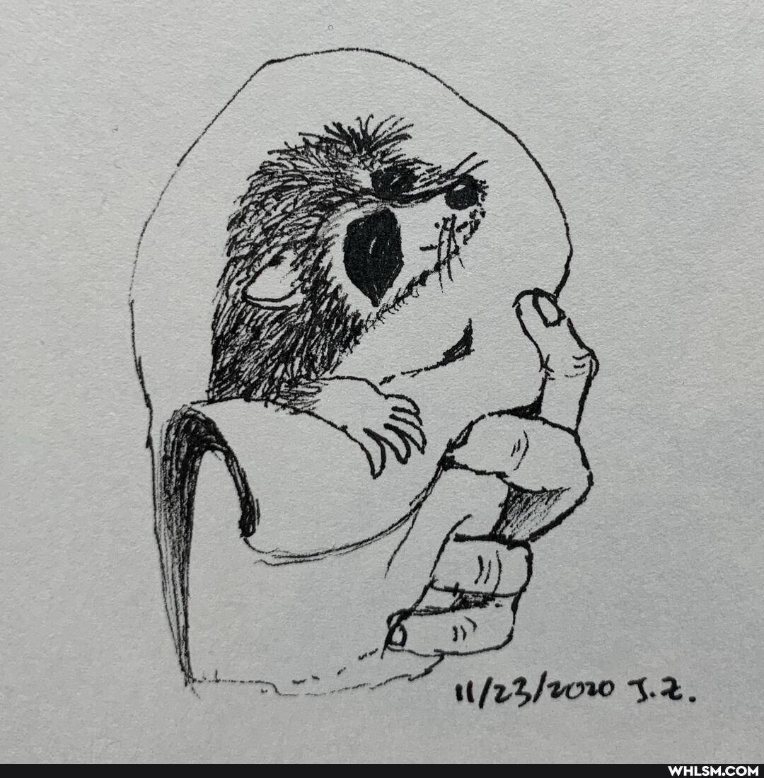 art, racnoon, baby_animals, sketch, sketchdaily
