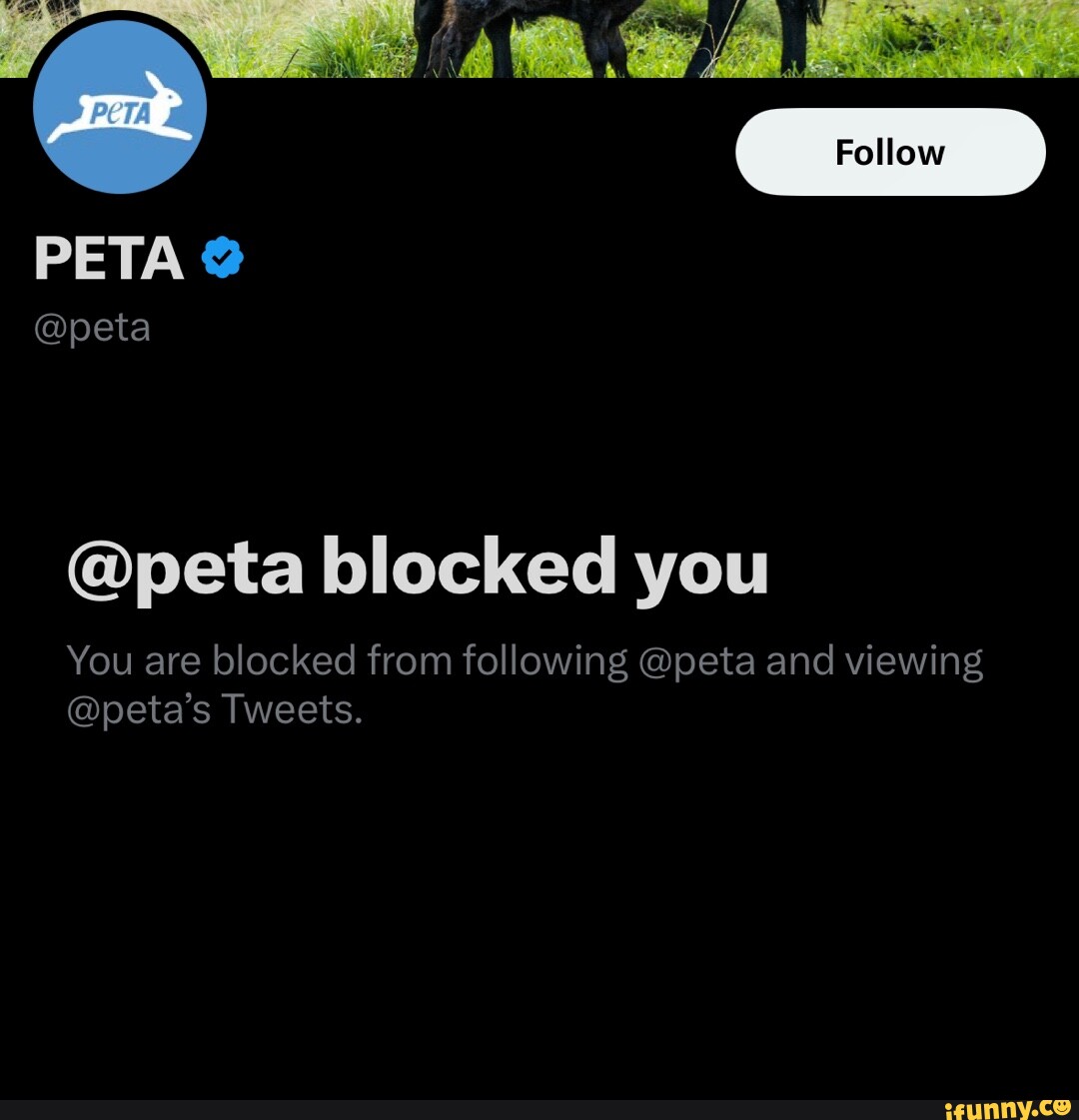 PETA @peta Follow @peta blocked you You are blocked from following