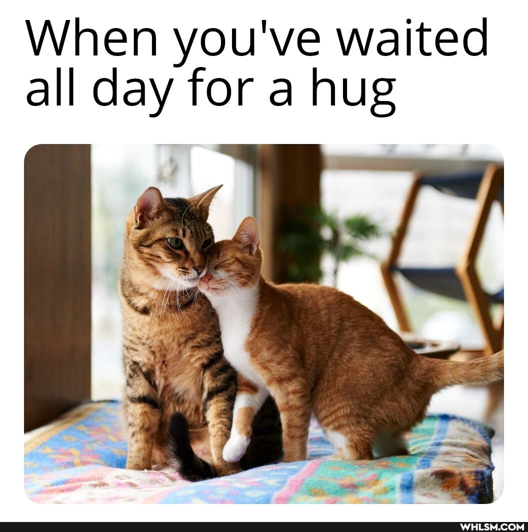 When you've waited all day for a hug
af