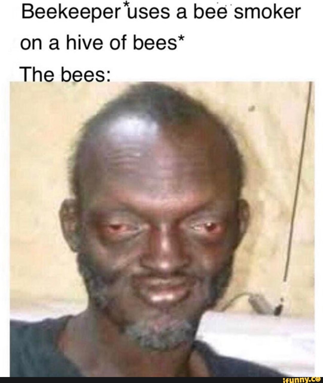 Beekeeper 'uses a bee smoker
on a hive of bees*
The bees: