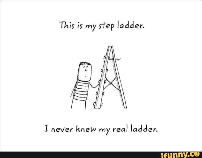 this-is-my-step-ladder-never-knew-my-real-ladder-ifunny