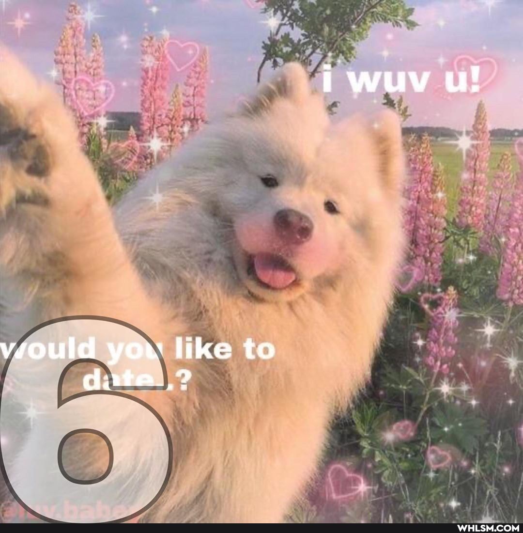 vwiould you like to
date__?