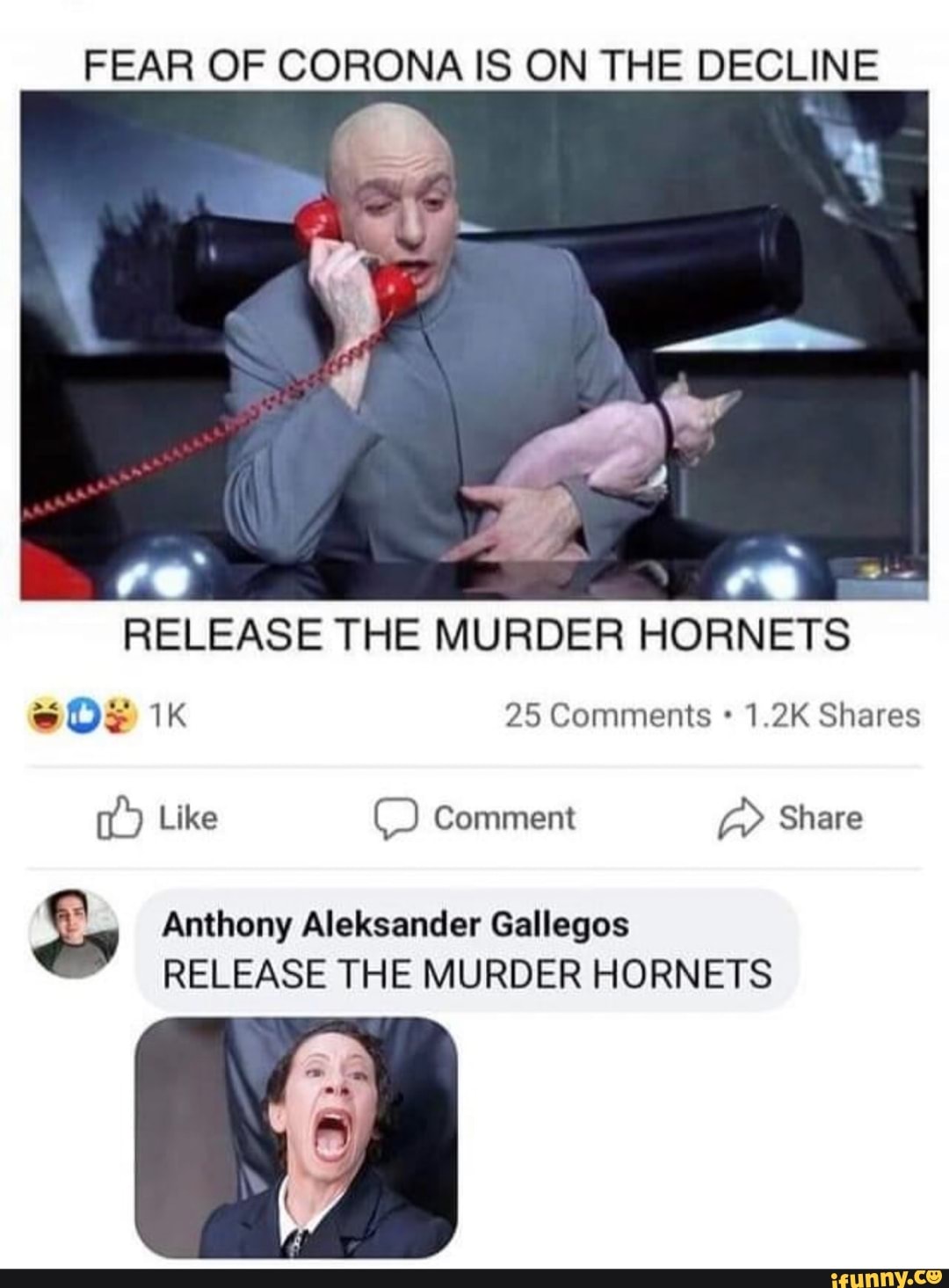 FEAR OF CORONA IS ON THE DECLINE
2
RELEASE THE MURDER HORNETS
SDE 1K 25 Comments 1.2K Shares
y" Anthony Aleksander Gallegos
RELEASE THE MURDER HORNETS