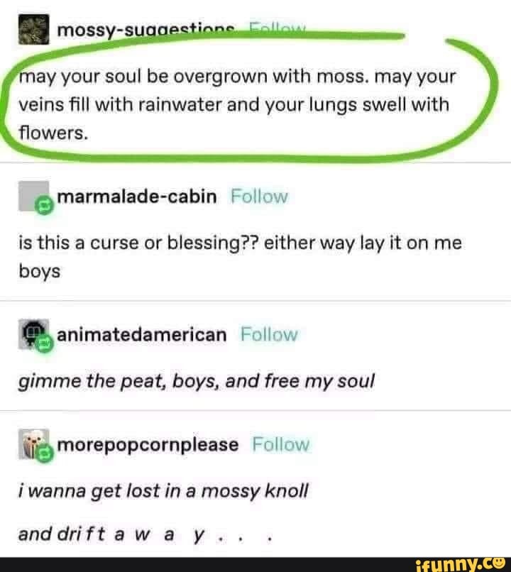 ay your soul be overgrown with moss. may your veins fill with rainwater and your lungs swell with flowers.
@Marmalade-cabin Follow
is this a curse or blessing?? either way lay it on me boys animatedamerican Follow
gimme the peat, boys, and free my soul
merepopcornplease Follow wanna get lost in a mossy knoll
and aw