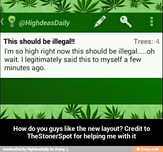 This should be illegal!! Tr
I'm so high right now this should be illegal
wait. I legitimately said this to myself a few
minutes ago.
oh
How do you guys like the new layout? Credit to
TheStonerSpot for helping me with it - How do you guys like the new layout? Credit to TheStonerSpot for helping me with it