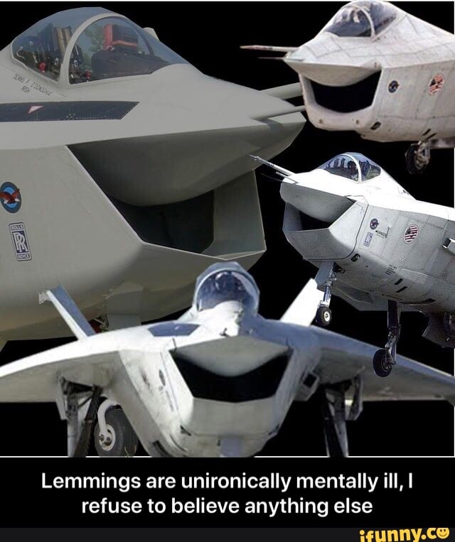 Lemmings are unironically mentally ill, I refuse to believe anything else - Lemmings are unironically mentally ill, I refuse to believe anything else