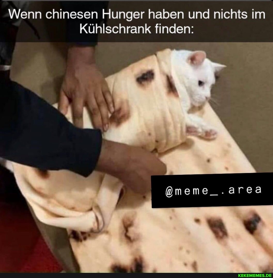 Wenn chinesen Hunger haben und nichts im
Kühlschrank finden:
Qmeme_.area