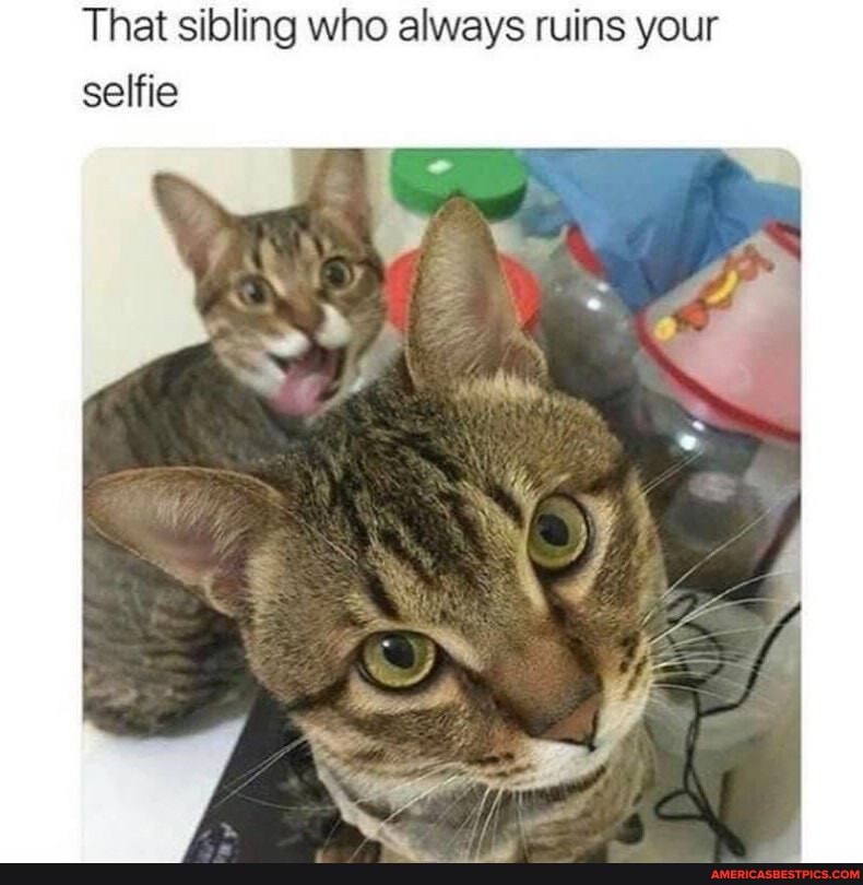That sibling who always ruins your selfie
