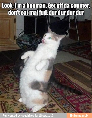 doniteatmai fud, dur dur dur dur