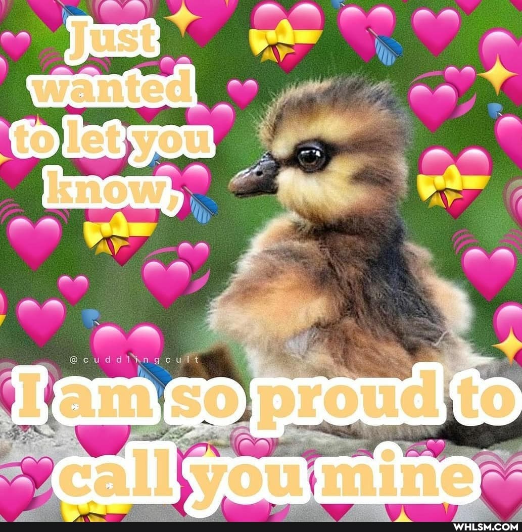 MITO
'calliyoulmine