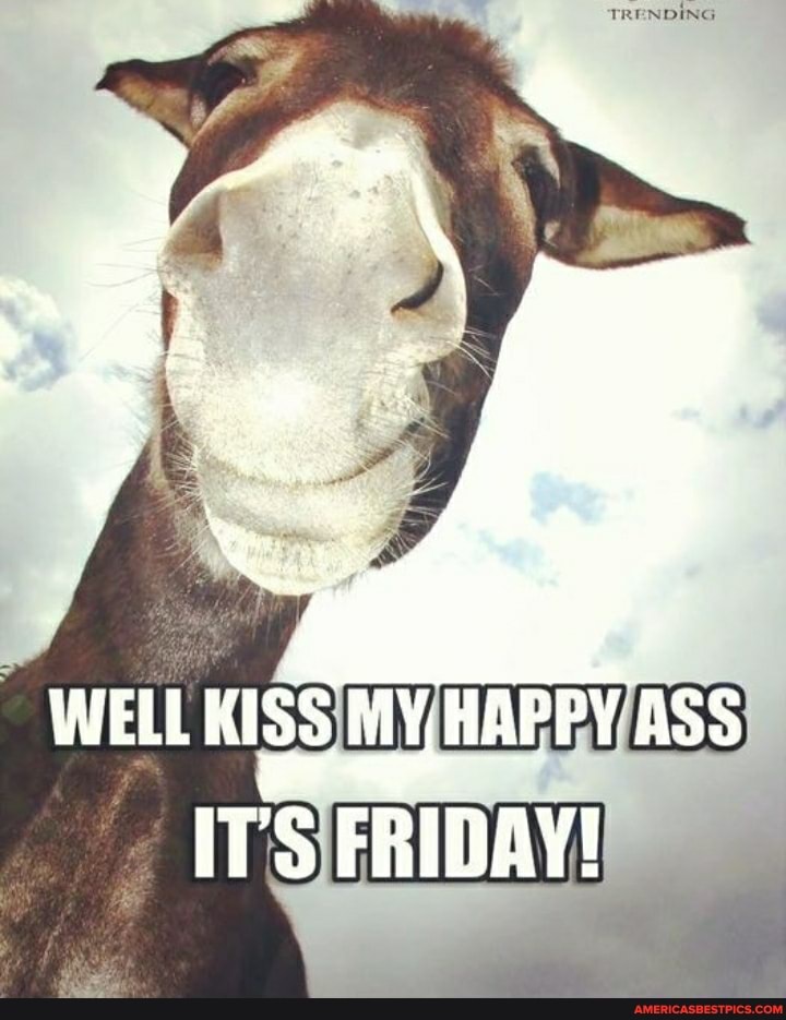WELL KISS MY,HAPPY ASS IT'S FRIDAY! - America’s best pics and videos