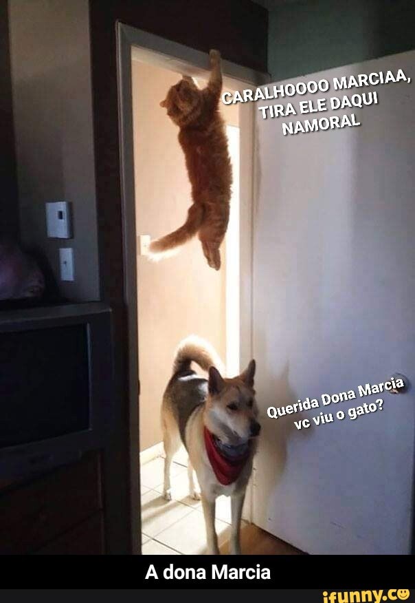 TIRA EL! O MARCIAA,
TIRA EL! LE DAQUI
NAMORAL
garcia
A dona Marcia - A dona Marcia
