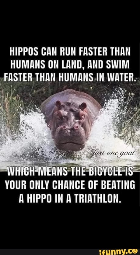 HIPPOS CAN RUN FASTER THAN HUMANS ON LAND, AND SWIM FASTER THAN HUMANS