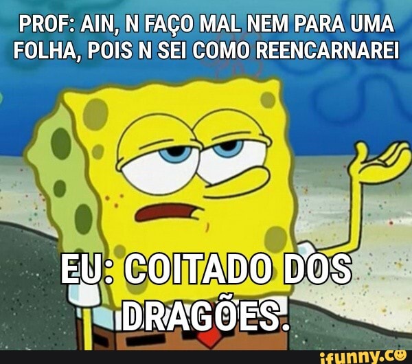 PROF: AIN, N FAÇO MAL NEM PARA UMA FOLHA, POIS N SEI COMO REENCARNAREI
EU: COITADO DOS DRAGÕES.