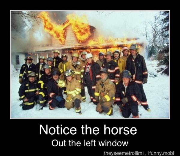 Notice the horse
Out the left window - Notice the horse
Out the left window