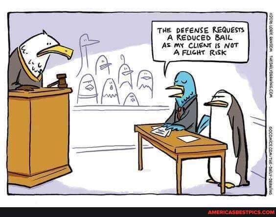 THE DEFENSE REQUESTS A REDUCED BAIL AS my _CLIENT ts NOT A FUGHT RISK
