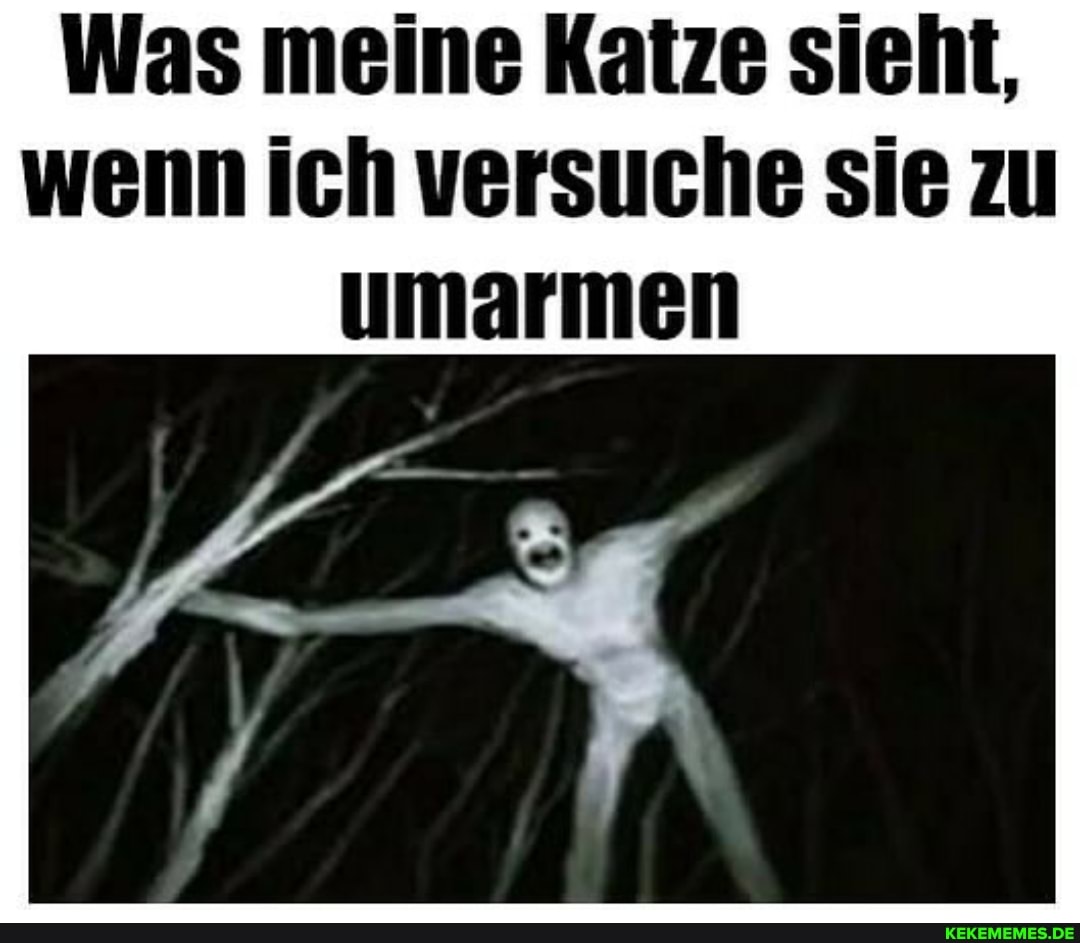 Was meine Katze sieht, wenn ich versuche sie zu umarmen