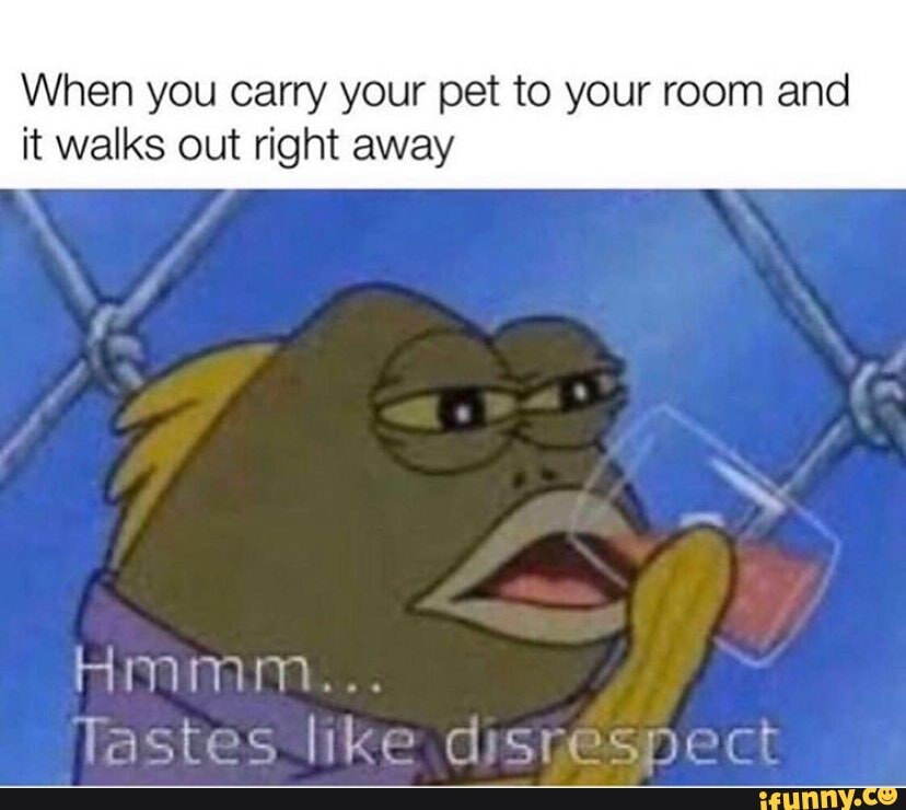 When you carry your pet to your room and it walks out right away
Hmmm...
lastes like disnesne;