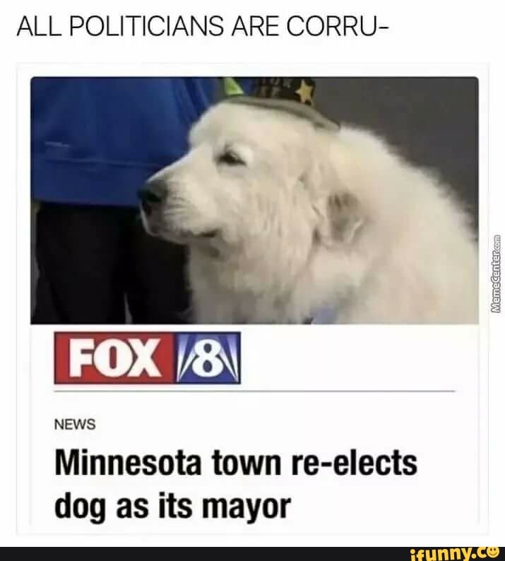 ALL POLITICIANS ARE CORRU-
FOX /8\
NEWS Minnesota town re-elects dog as its mayor