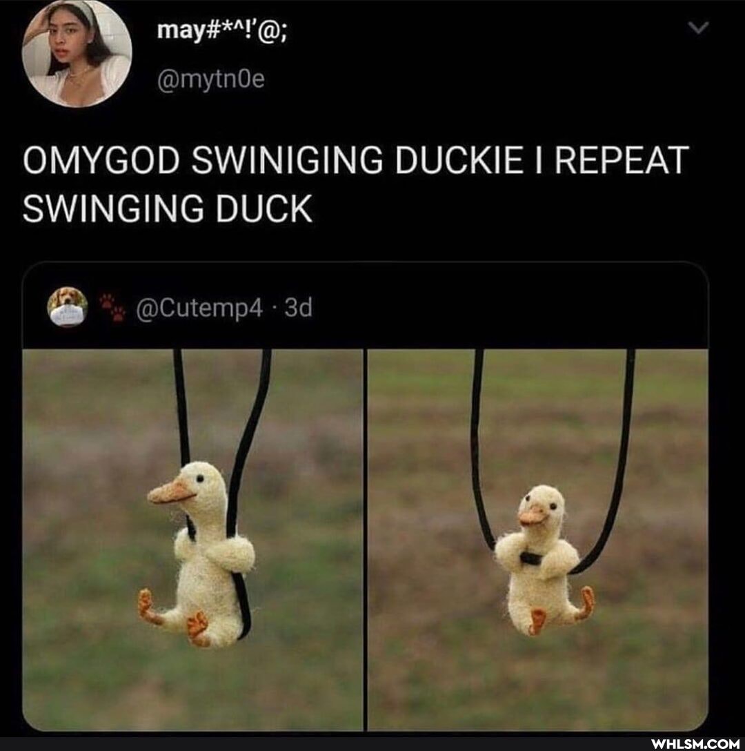 OMYGOD SWINIGING DUCKIE I REPEAT SWINGING DUCK
@Cutemp4
DUCKI
E REPEAT