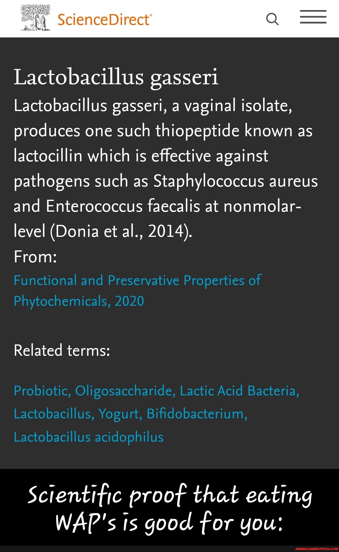Lactobacillus gasseri Lactobacillus gasseri, a vaginal isolate