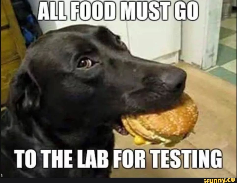 ALL FOOD MUST GO
TO THE LAB FOR TESTING