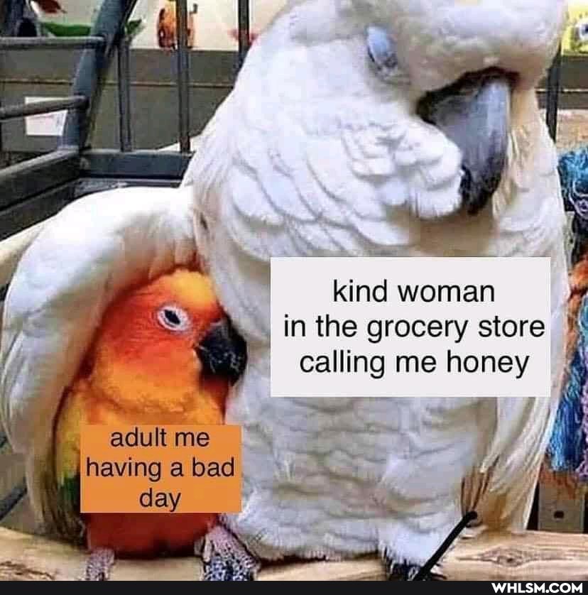 kind woman in the grocery store calling me honey adult me having bad da
