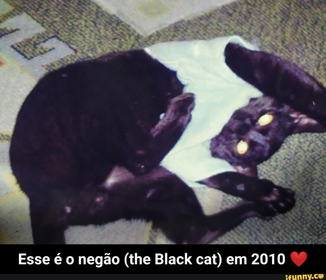 Esse negao (the
Black cat) em 2010 - Esse é o negão (the Black cat) em 2010 ❤️