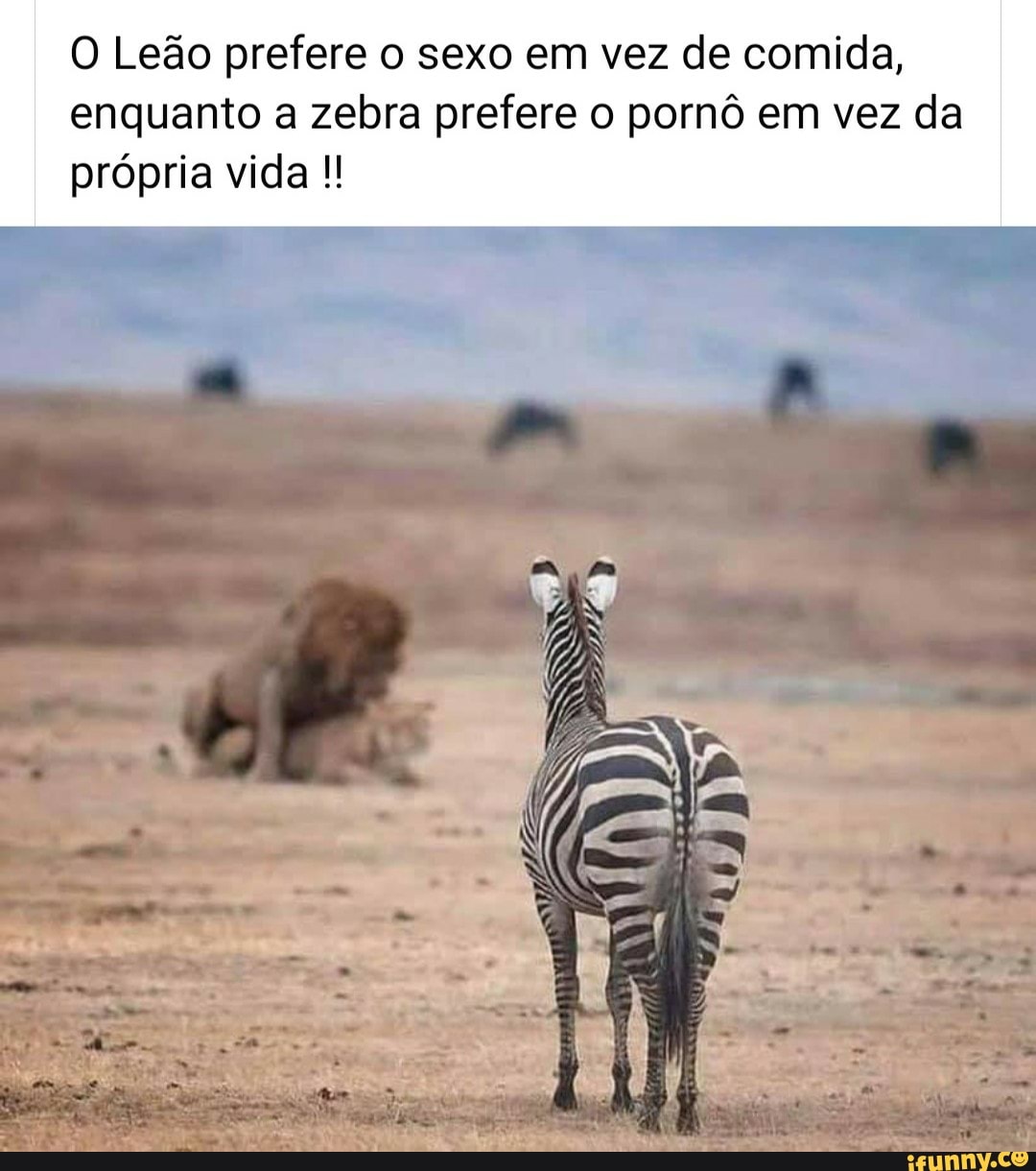 O Leão prefere o sexo em vez de comida,
enquanto a zebra prefere o pornô em vez da própria vida