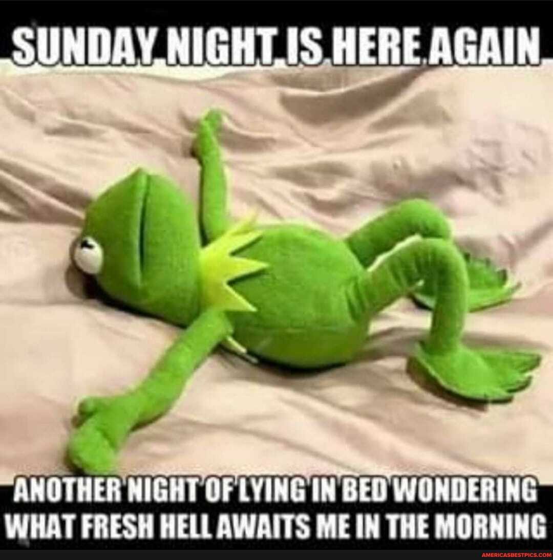 SUNDAY, NIGHTS HERE
al
ANOTHER NIGHT OF LYING IN BED WONDERING WHAT FRESH HELL AWAITS ME IN THE MORNING