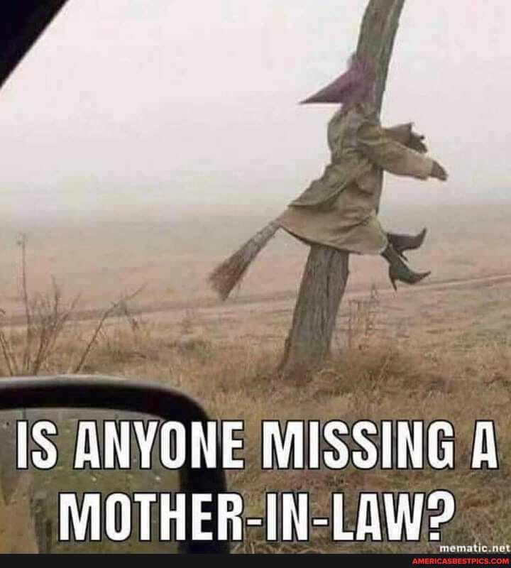 TS
ANYONE MISSING MOTHER-IN-LAW?