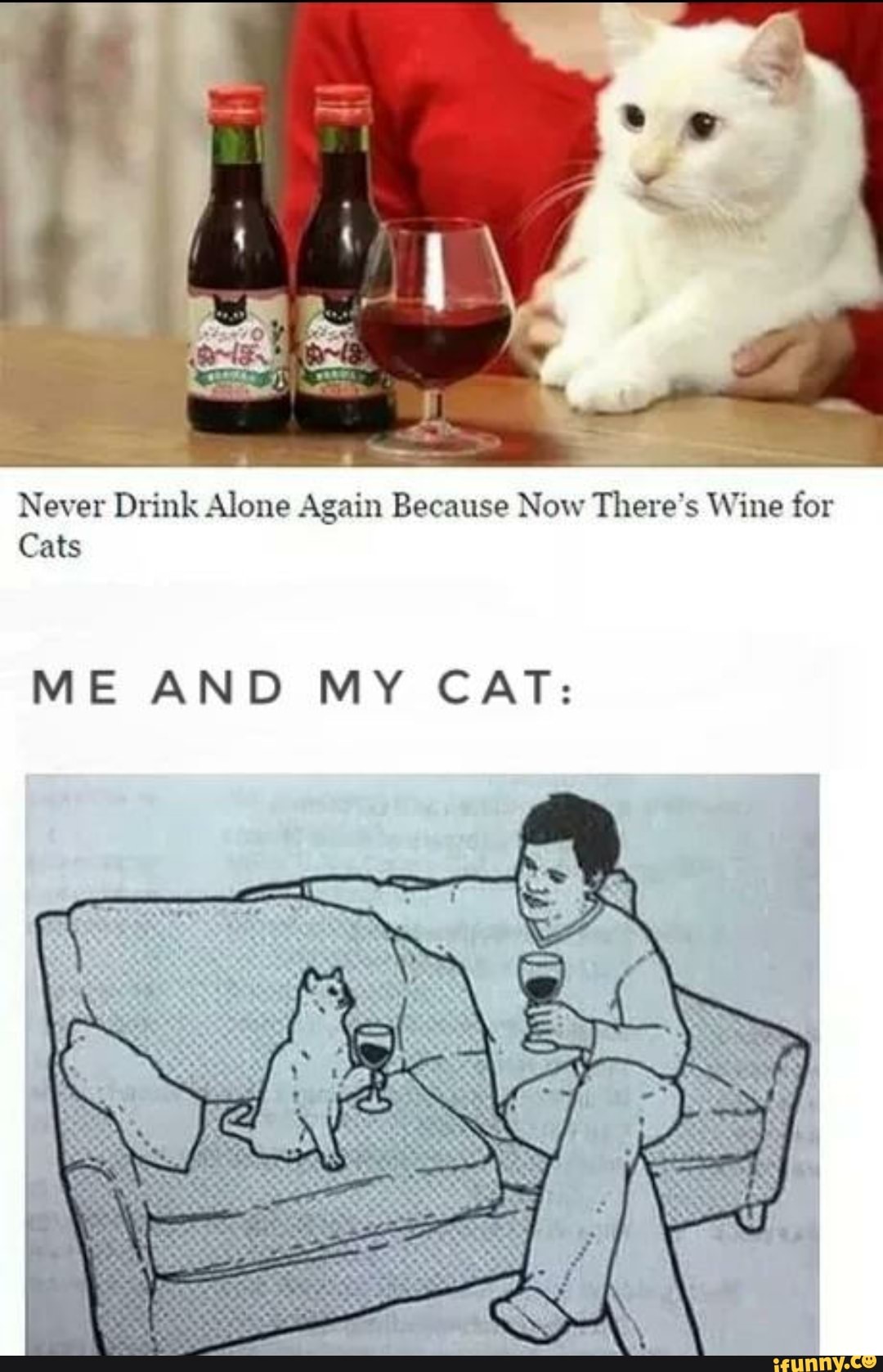 Never Drink Alone Again Because Now There's Wine for
Cats
ME AND MY CAT: