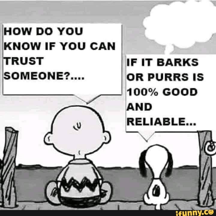 How Do You Know If You Can Rust If It Barks Someone?. Or Purrs Is 