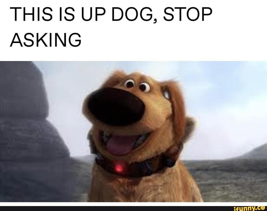 Meme Recycling Dump Random Selection 8 THIS IS UP DOG STOP ASKING meme-recycling-dump-random-selection-8-this-is-up-dog-stop-asking