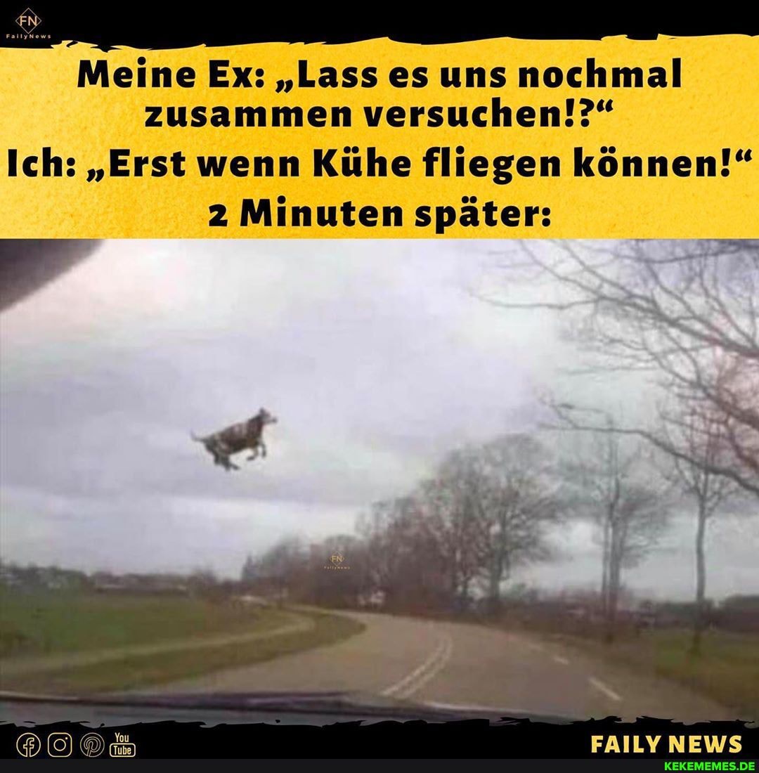 Meine Ex: "Lass es uns nochmal zusammen versuchen!?"
Ich: "Erst wenn Kühe fliegen können!"
2 Minuten später: