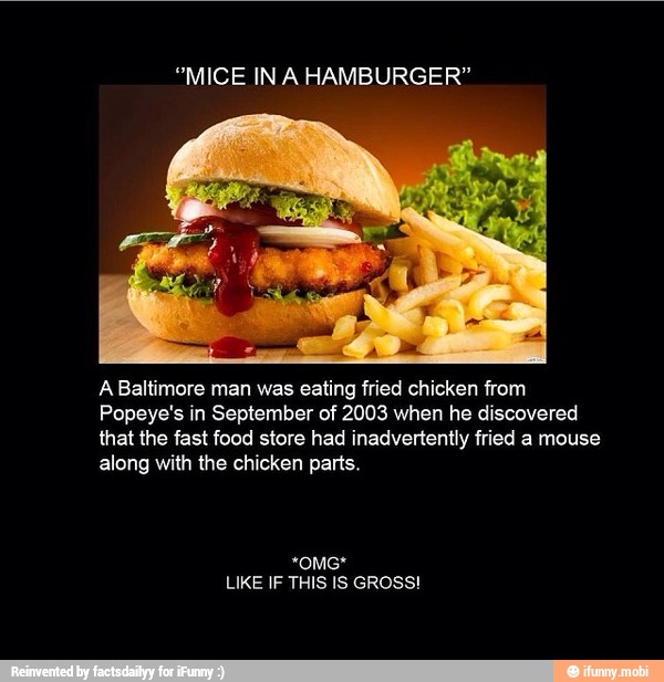"MICE INA HAMBURGER"
A Baltimore man was eating fried chicken from
Popeye's in September of 2003 when he discovered
that the fast food store had inadvertently fried a mouse
along with the chicken parts.
*omc*
LIKE IF THIS IS GROSS!
