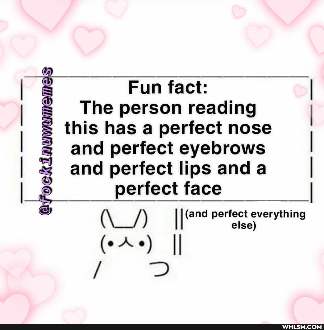 Fun fact:
The person reading this has a perfect nose and perfect eyebrows and perfect lips and a perfect face
(cAo) II
I perfect everything else) else)