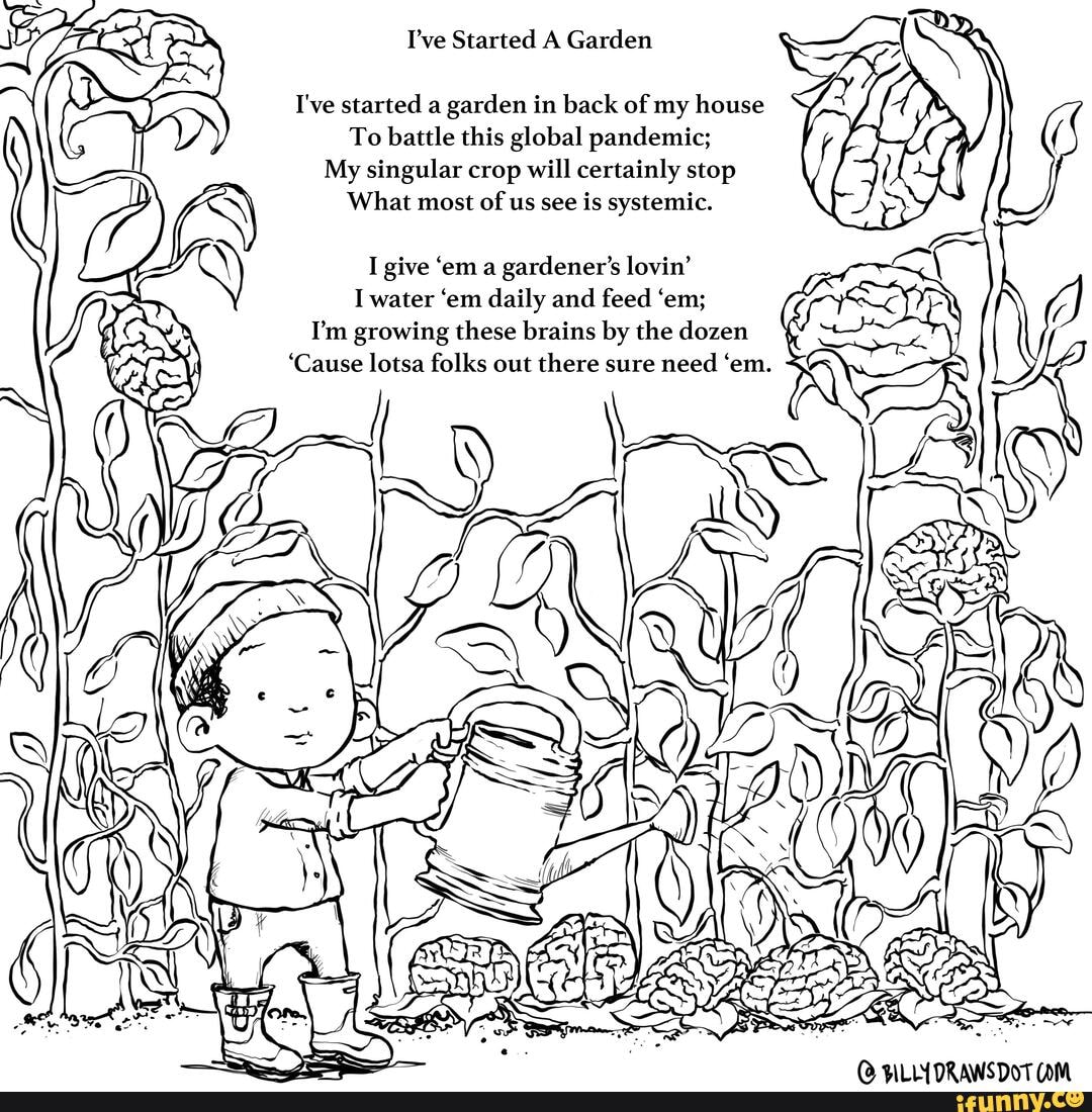 I've Started A Garden
I've started a garden in back of my house
To battle this global pandemic;
My singular crop will certainly stop
What most of us see is systemic.
I water 'em daily and feed 'em;
I'm growing these brains by the dozen
'Cause lotsa folks out there sure need 'em.