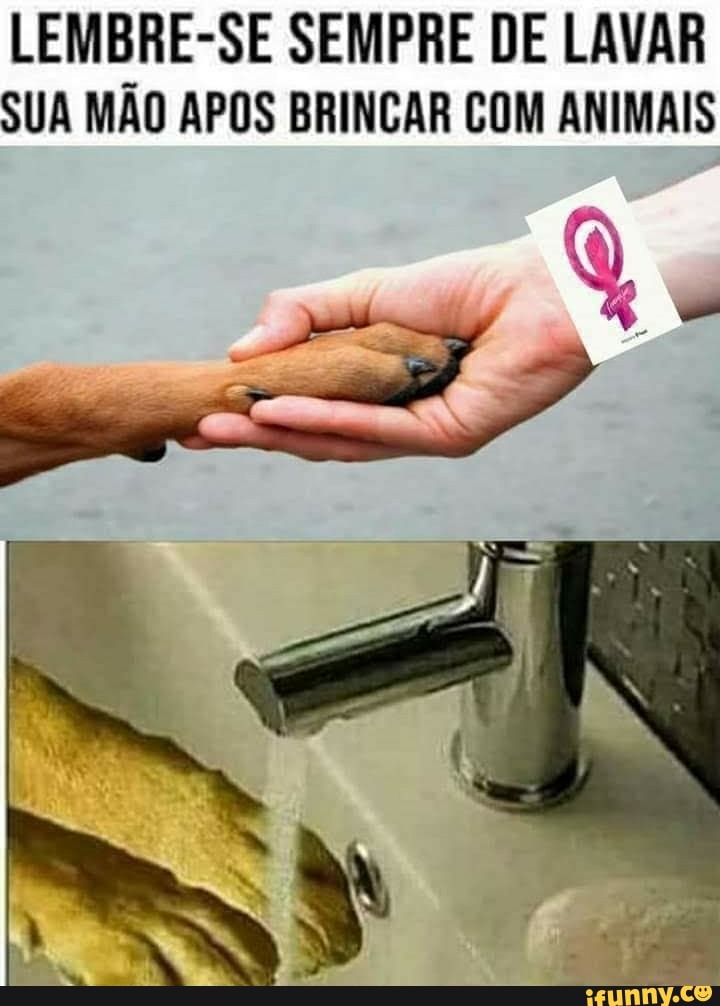 LEMBRE-SE SEMPRE DE LAVAR SUA MÃO APOS BRINCAR COM ANIMAIS