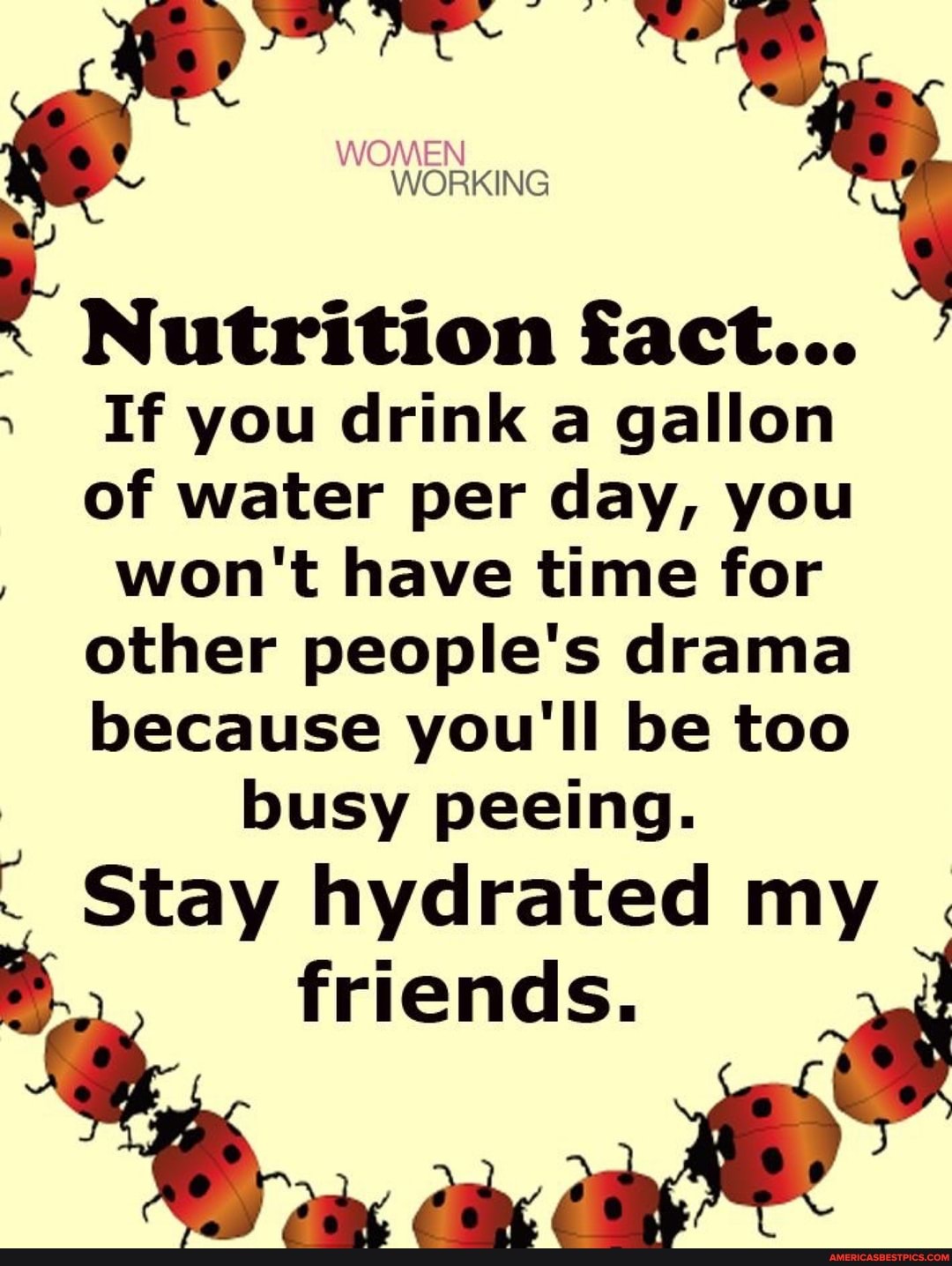WORKING
Nutrition fact... gallon
If you drink a gallon of water per day, you won't have time for other people's drama because you'll be too busy peeing.
hydrated my