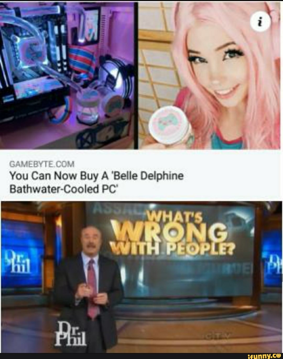 You Can Now Buy A 'Belle Delphine Bathwater-Cooled PC