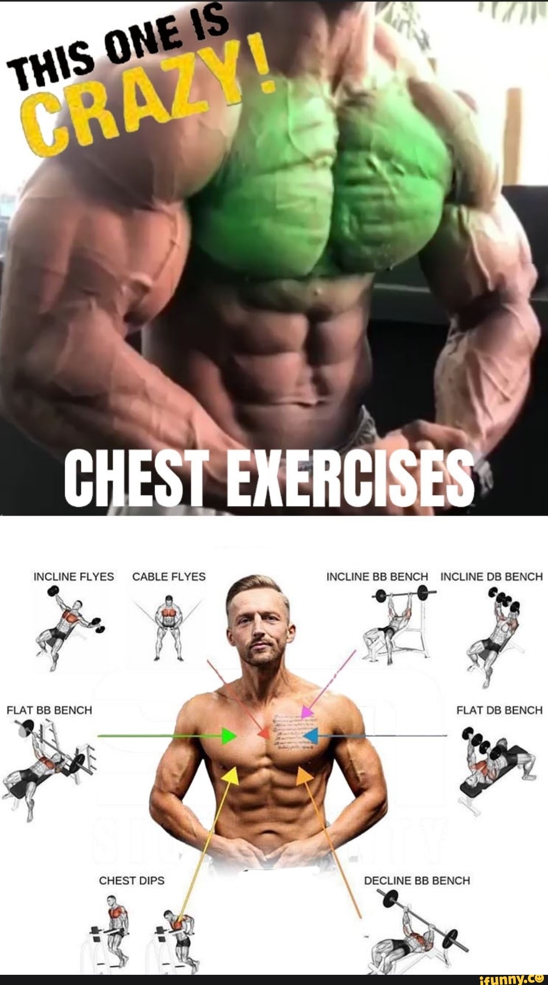 GHEST EXERCISES INCLINE FLYES CABLE FLYES FLAT BB BENCH INCLINE BB