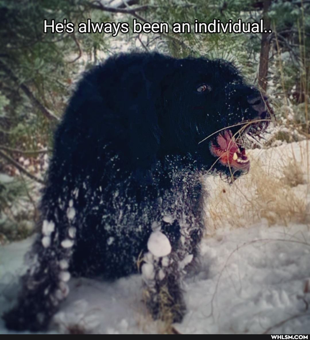 He's always been an individual.