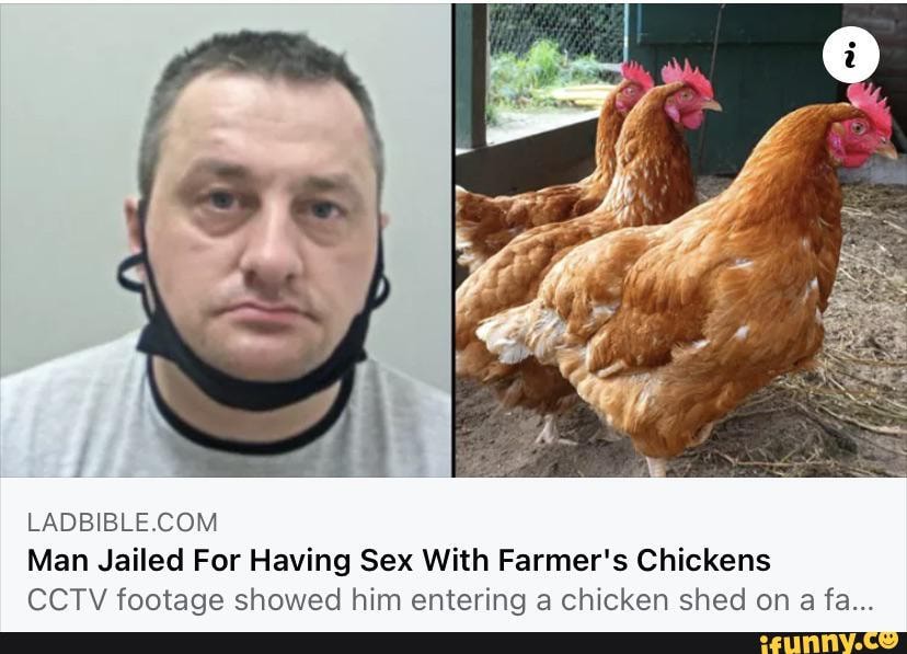 Sade Com Man Jailed For Having Sex With Farmers Chickens Cctv Footaae