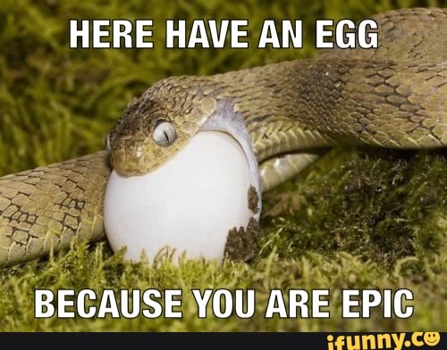 HERE HAVE AN EGG
BECAUSE YOU ARE EPIC