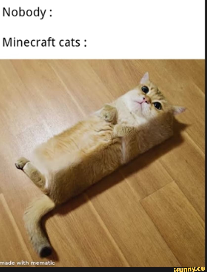 Nobody:
Minecraft cats
