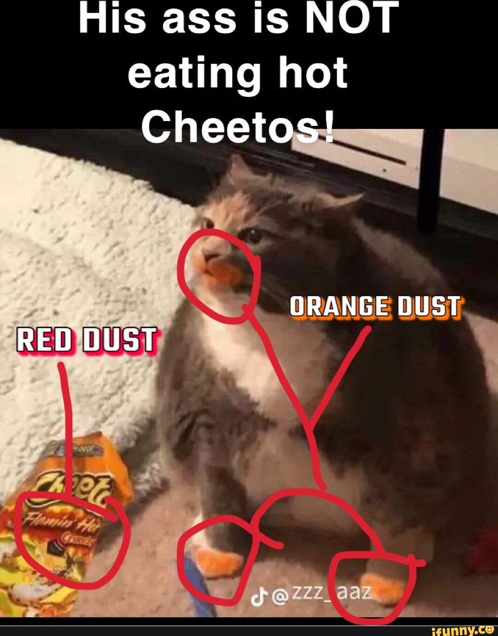 Cf TikTok The kid in the backgreunc iFunny