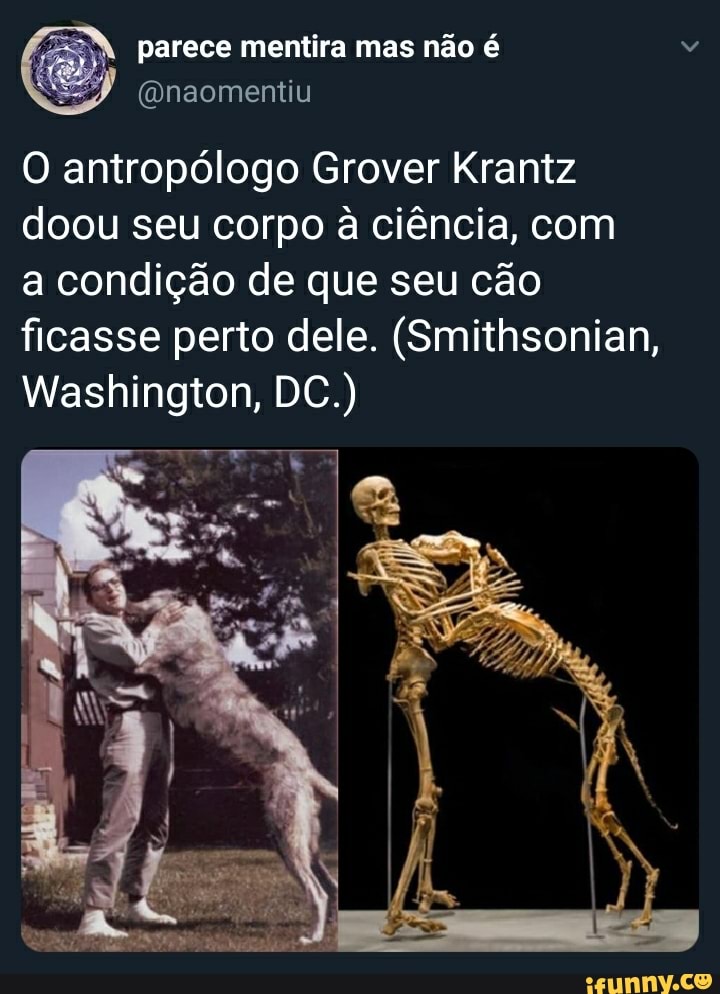 parece mentira mas não é
O antropólogo Grover Krantz doou seu corpo à ciência, com
a condição de que seu cão ficasse perto dele. (Smithsonian,
Washington, DC.)
