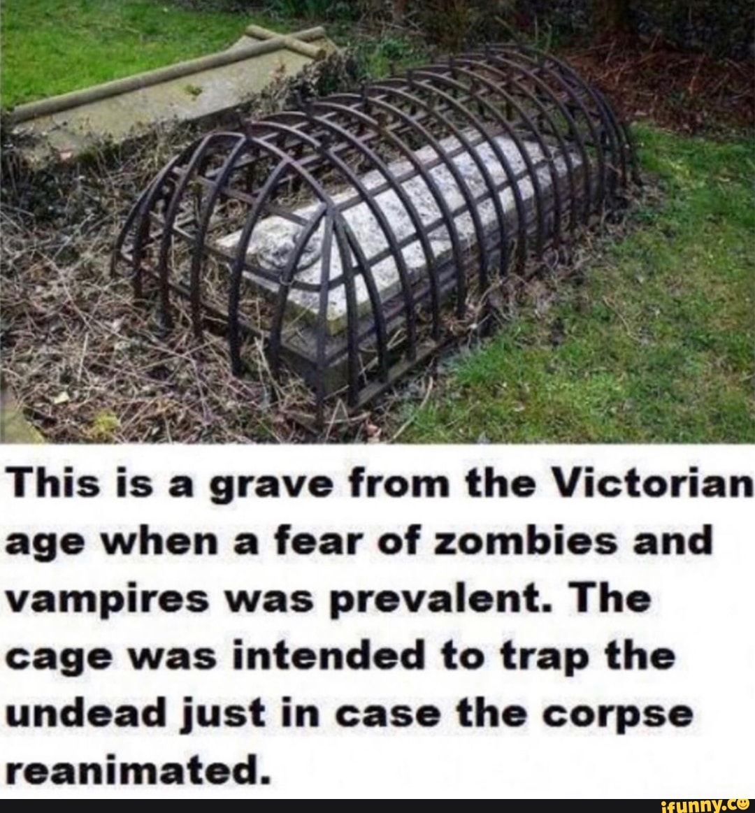 Extensive and intensive reading. Thinking футболка. This is intended. This is intended. Intended.