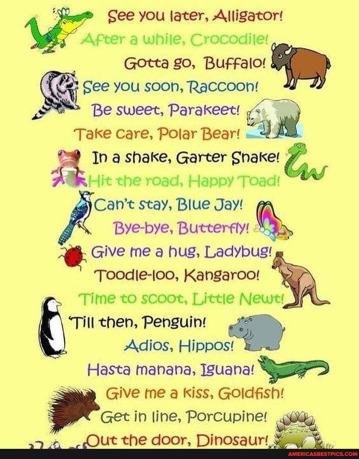 See you later, Alligator. See you later Alligator in a while Crocodile. See you later Alligator pictures. See ya later sign.